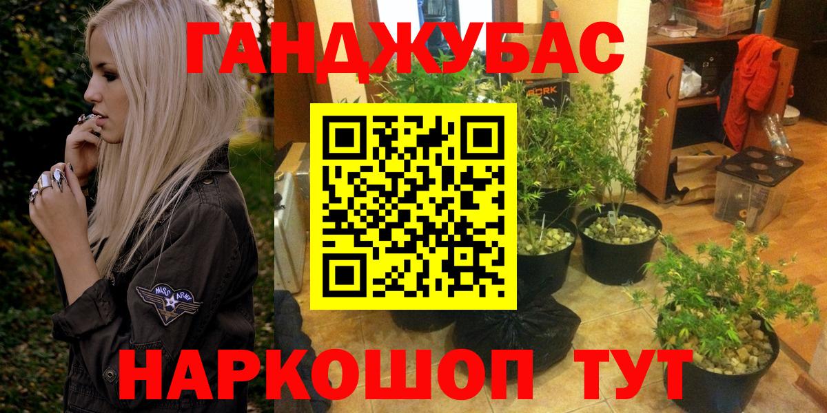 Марихуана сатива Коммунар